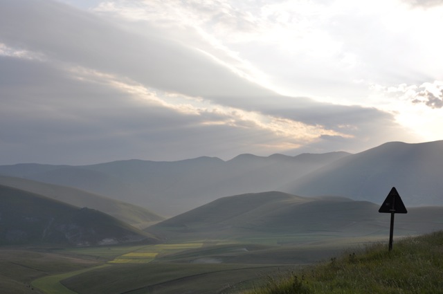 _DSC0529