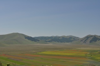 _DSC0562