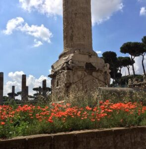 Trajans Forum in Rome with Insiders Italy